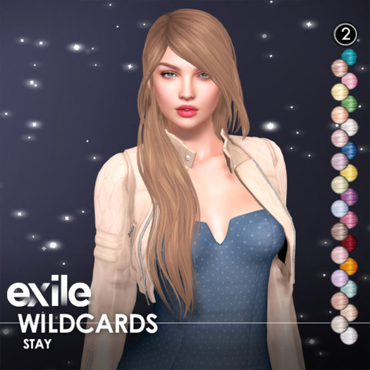 Exile::Stay: 2. Wildcards
