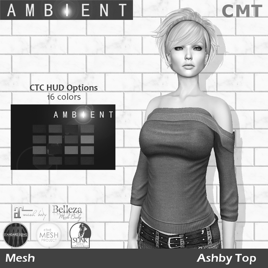 [AMBI] DEMO Mesh Ashby Top (BOXED)