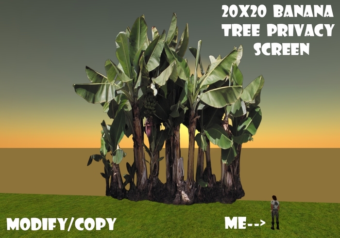 20x20 Banana Tree Privacy Screen