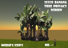 20x20 Banana Tree Privacy Screen