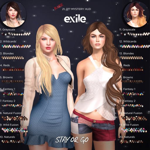 Exile::Stay: 2. Wildcards