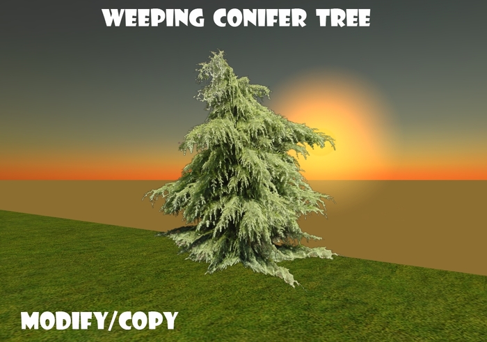 Weeping Conifer Tree (Flexi)
