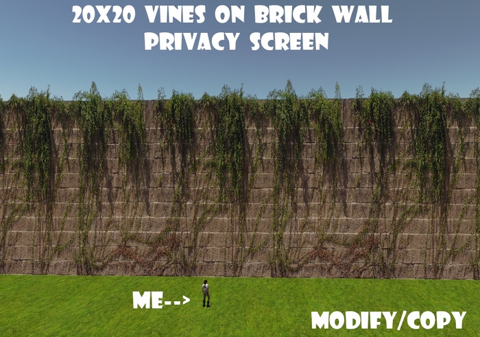 20x20 Vines on Brick Wall Privacy Screen (Seamless)