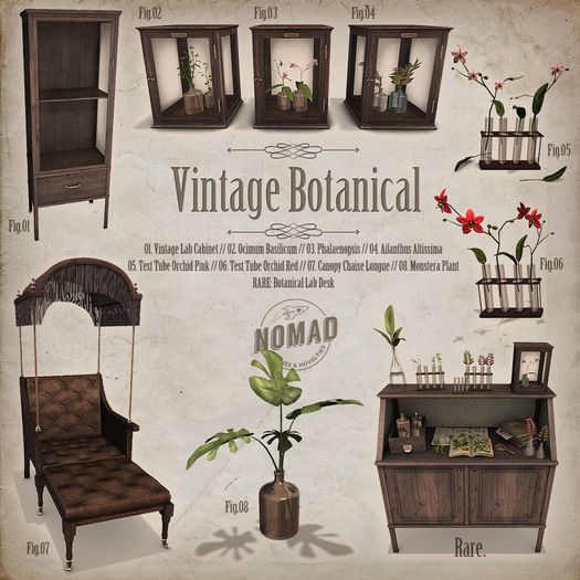NOMAD // Vintage Botanical // RARE