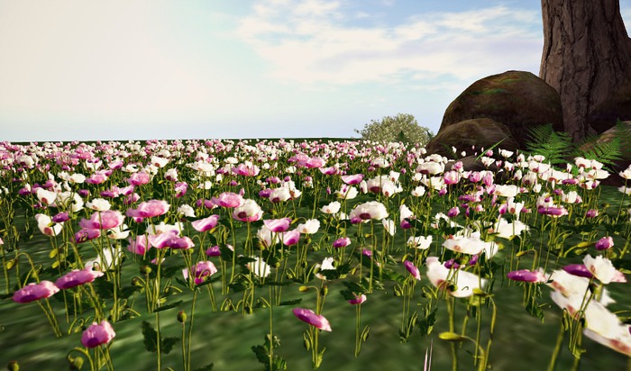 CJ Mixed Poppy Pink White 3 diff. Shapes - 3 in 1 Pack