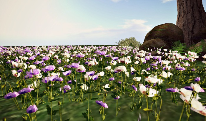 CJ Mixed Poppy Purple White 3 diff. Shapes - 3 in 1 Pack