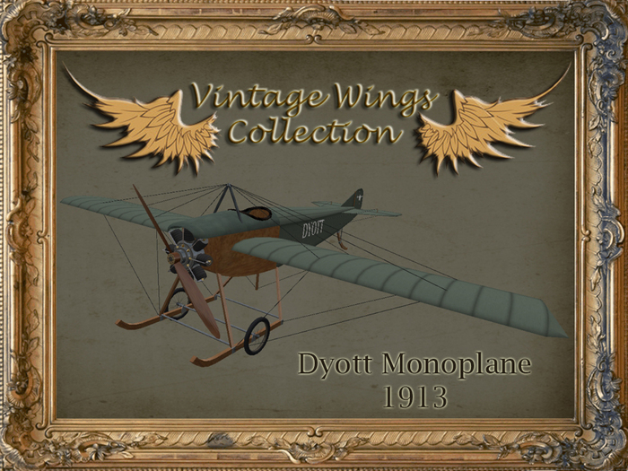 Vintage Wings - Dyott monoplane - 1913
