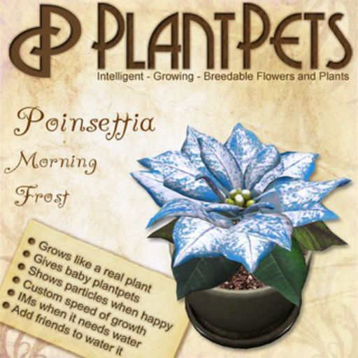 PlantPet Seed [Poinsettia *Morning Frost*]
