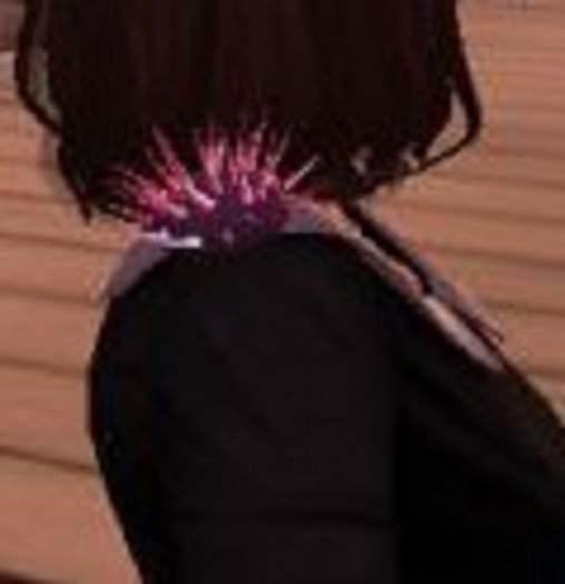 (7S) Common Stuff: Pink Sea Urchin