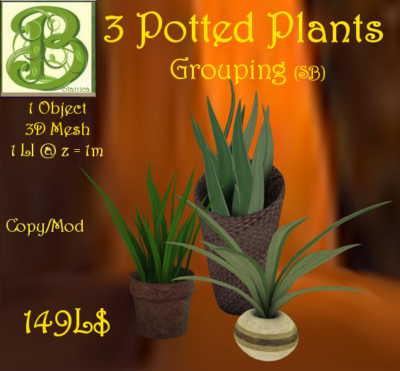 BGD Succulent Plant Group B
