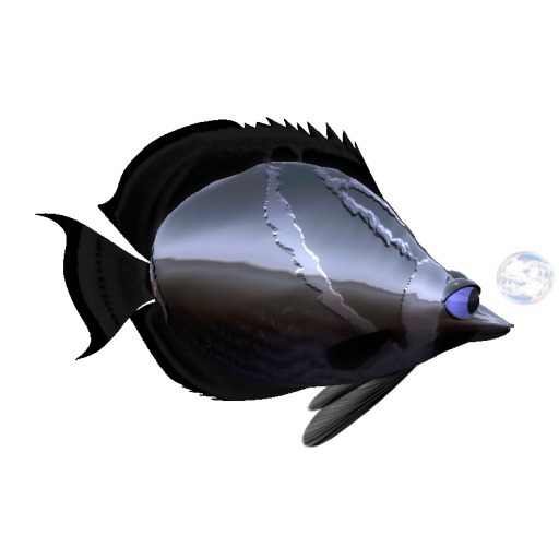 (7S) Uncommon Fish: Steel Raccoon Fish