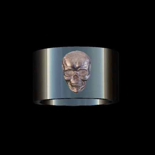 Pewter Skull on Silver Band Ring