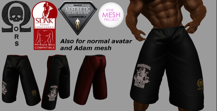 ORS Training Long Shorts