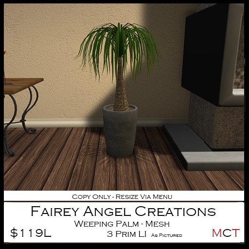 FAC Weeping Palm 119L