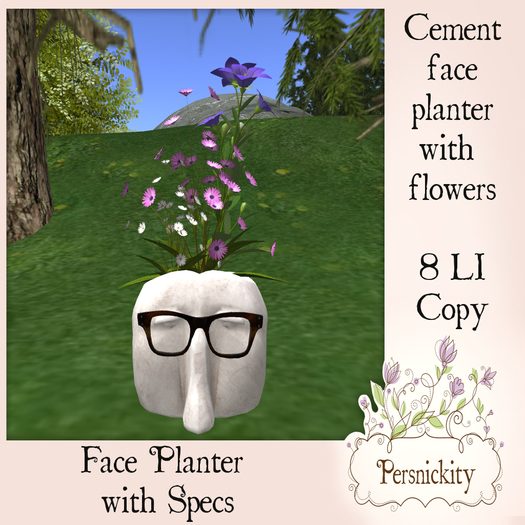 Face Planter with Specs BOXED