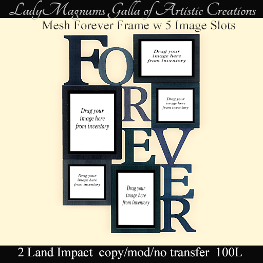 LadyM's Mesh Forever Frame w 5 Image Slots - Blue