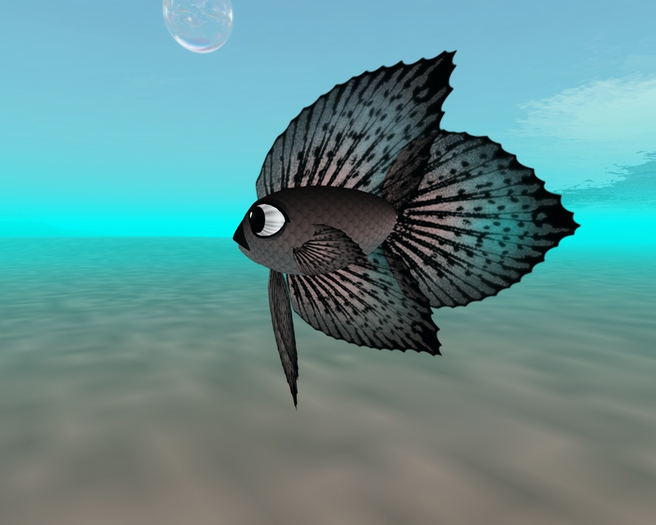 (7S) Uncommon Fish: Gray Betta