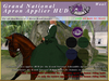 E sidesaddle grandnationalsidesaddletextureapplierhud wool