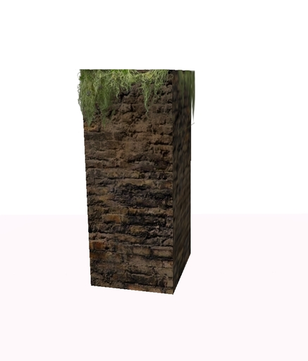 Castle Ruins Column