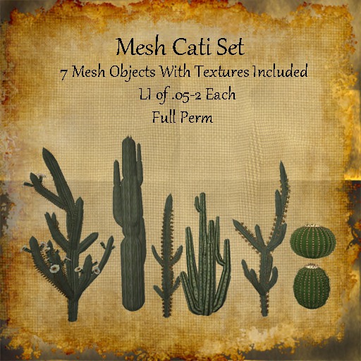 Bad Katz Mesh Cacti Set