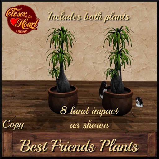 Best Friends Plants***