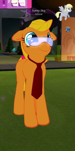 Pony Tie