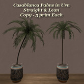 Casablanca Palm Urn