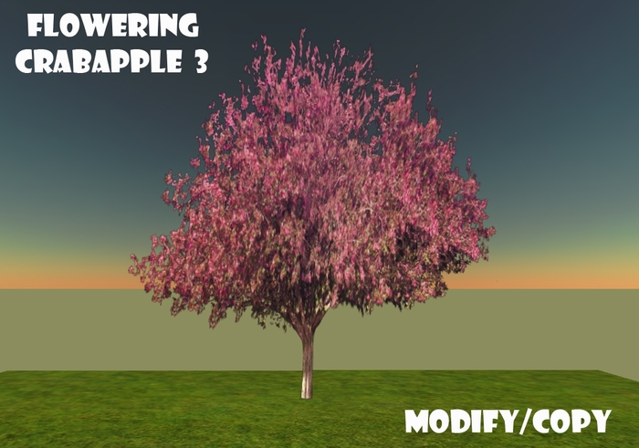 Flowering Crabapple Tree 3 (Flexi)