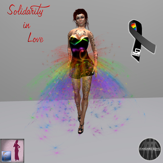 Solidarity in Love (Boxed)