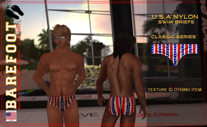 Classic Stars and Stripes Swim Breifs