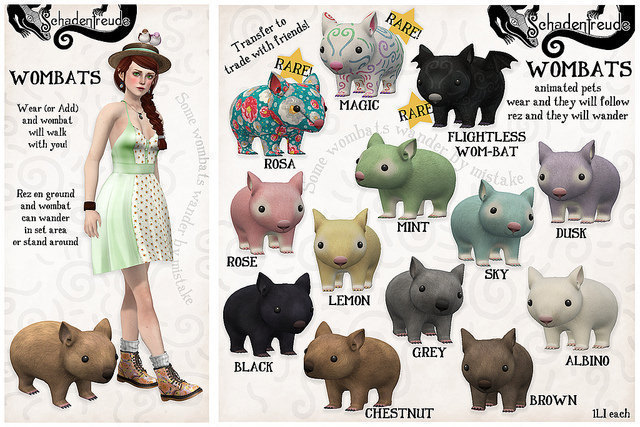 Schadenfreude Grey Wombat