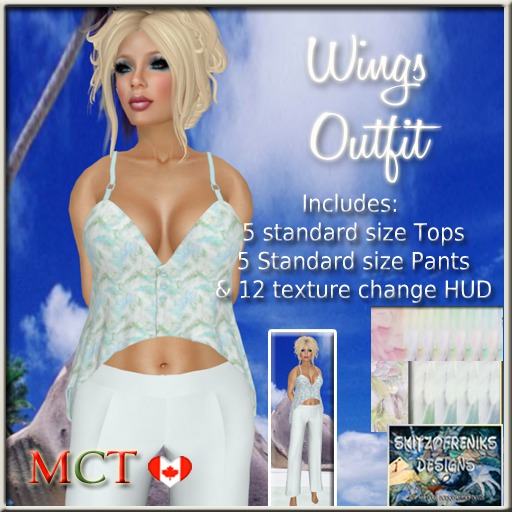 Wings Outfit