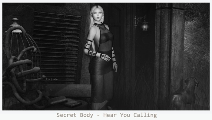 Secret Body - Hear You Calling - pose