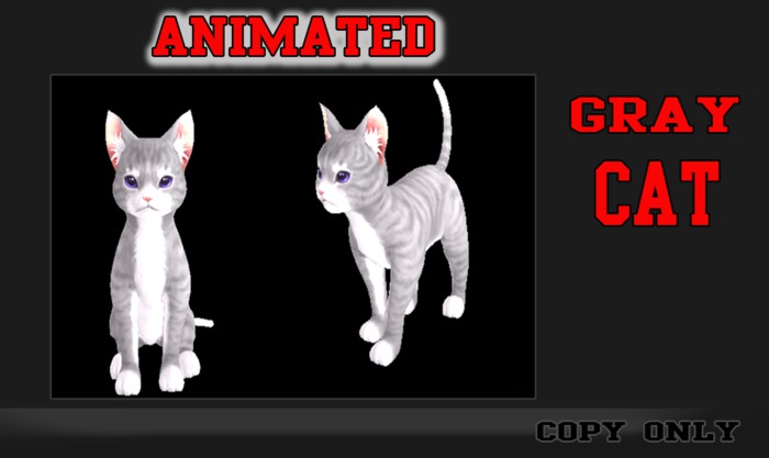 Animated  Gray Cat