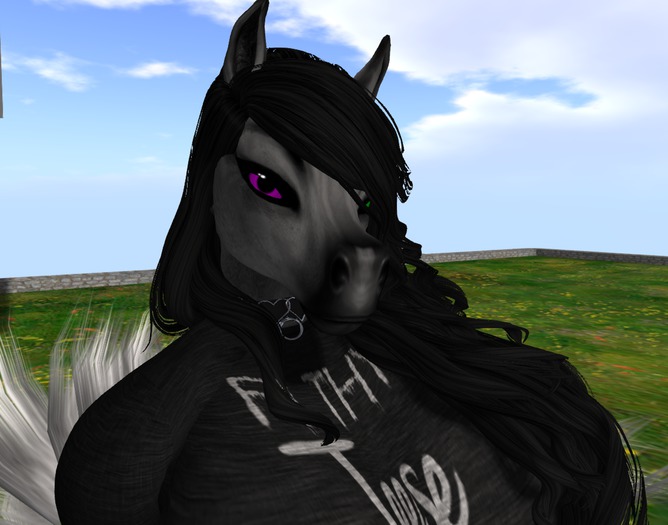 *CT* AV Equine Mesh Hair Fix