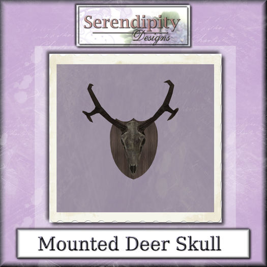 Serendipity Designs -  Deer Skull with Antlers  
