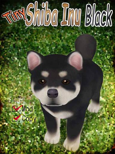 Tiny Shiba Inu Avatar Black