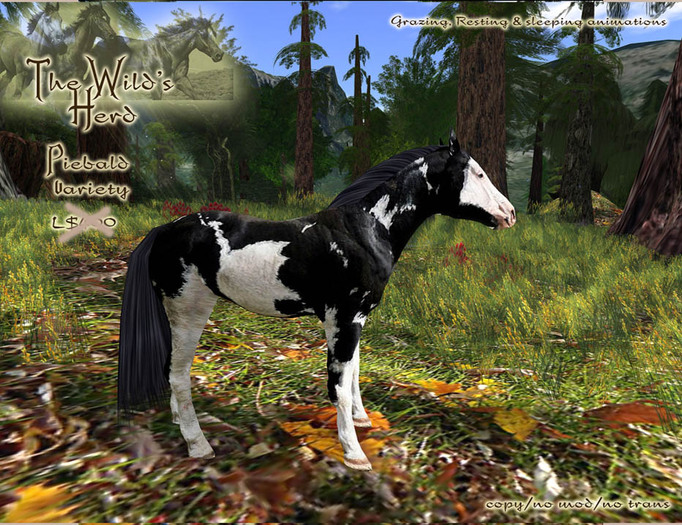 Second Life Marketplace [The Wilds] Piebald Horse