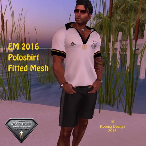 Germany - EM2016 Poloshirt Box