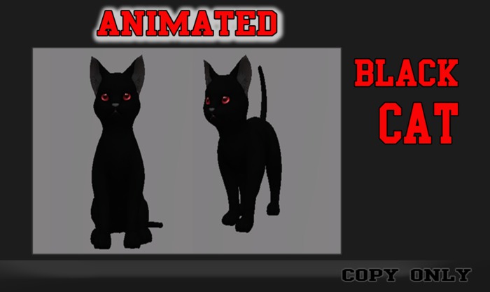 Animated Black Cat