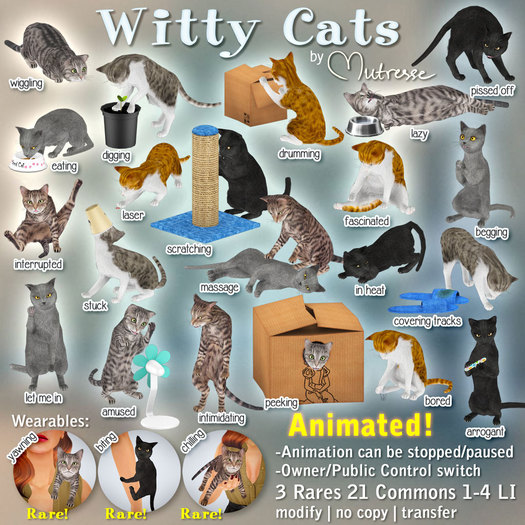 Mutresse-Laser-Witty Cats