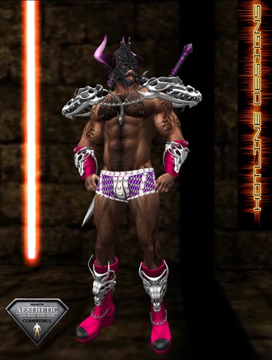 HOTLINE DRAGON ARMOR SET PINK/SILVER