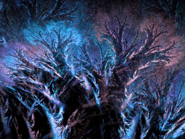 Black Coral Texture
