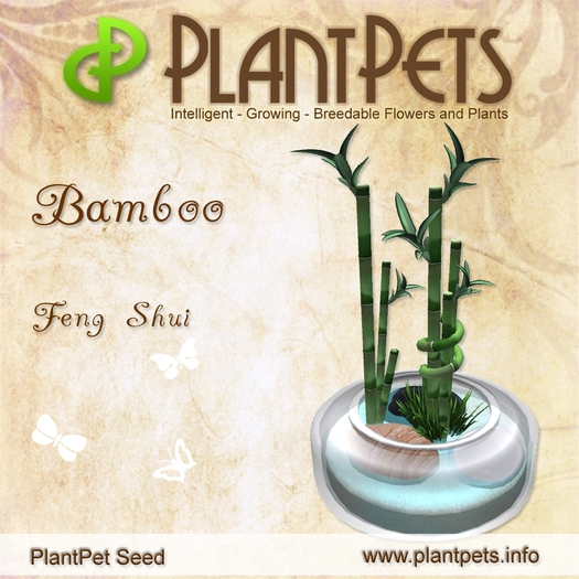 PlantPet Seed [Bamboo *Feng Shui*]