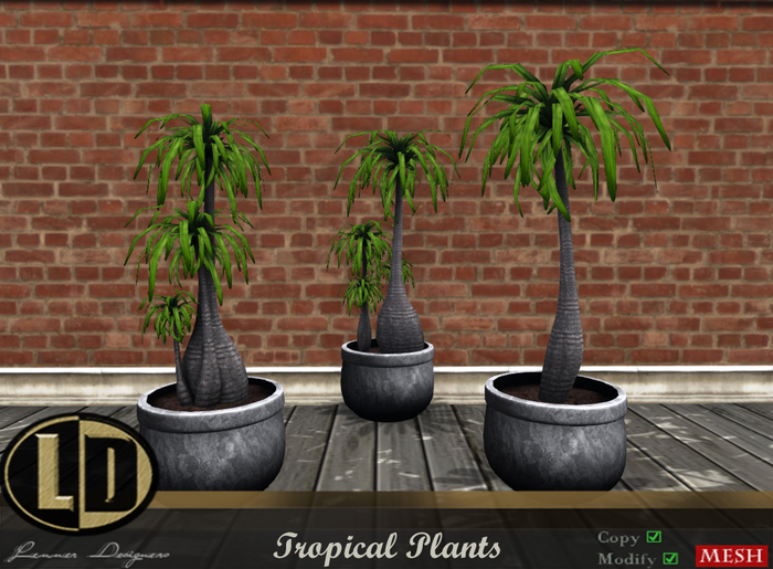 ..::LD::..Tropical Plants