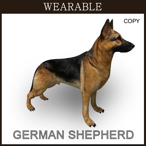 Shepherd_Wear_Box