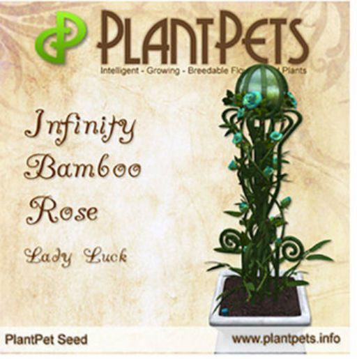 PlantPet Seed [Infinity Bamboo Rose *Lady Luck*]