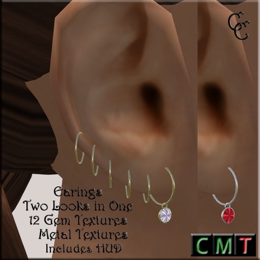 CC - Pierced Loop Earings