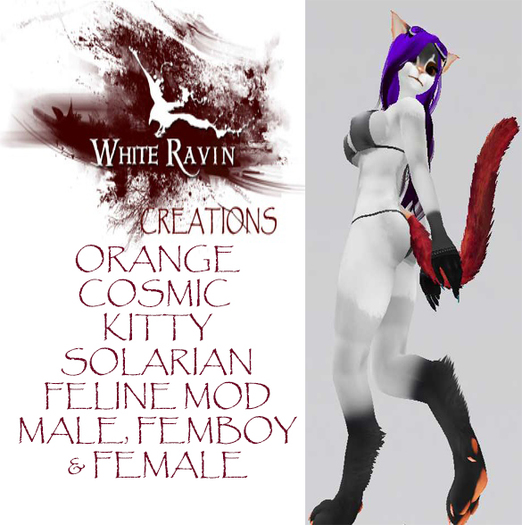 White Ravin Creations - Orange Cosmic Kitty Solarian Mod