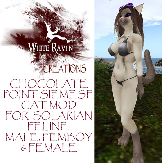 White Ravin Creations - Chocolate Point Siemese Cat